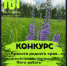 Внимание, конкурс! - Усть-Таркский район
