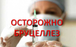 Памятка по бруцеллезу