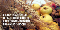 С Днем работников сельского хозяйства и перерабатывающей промышленности! - Усть-Таркский район