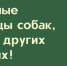 ВНИМАНИЕ! - Усть-Таркский район