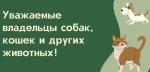 ВНИМАНИЕ!