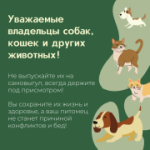 ВНИМАНИЕ!