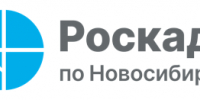 Пять услуг Росреестра, которые можно получить через смартфон - Усть-Таркский район