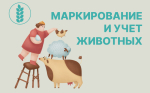 Маркирование и учет животных