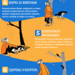 Внимание!