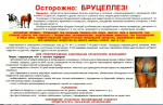 "Профилактика бруцеллеза"