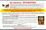 "Профилактика бруцеллеза"