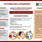 "Профилактика бруцеллеза"