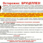 "Профилактика бруцеллеза"